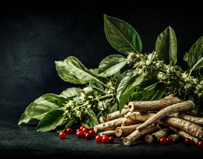 Ashwagandha (Withania somnifera) plant with green leaves, red berries, and medicinal roots on a black background.