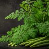 Premium Moringa (Moringa oleifera) leaves and fresh drumstick pods on a black botanical background with soft golden light.