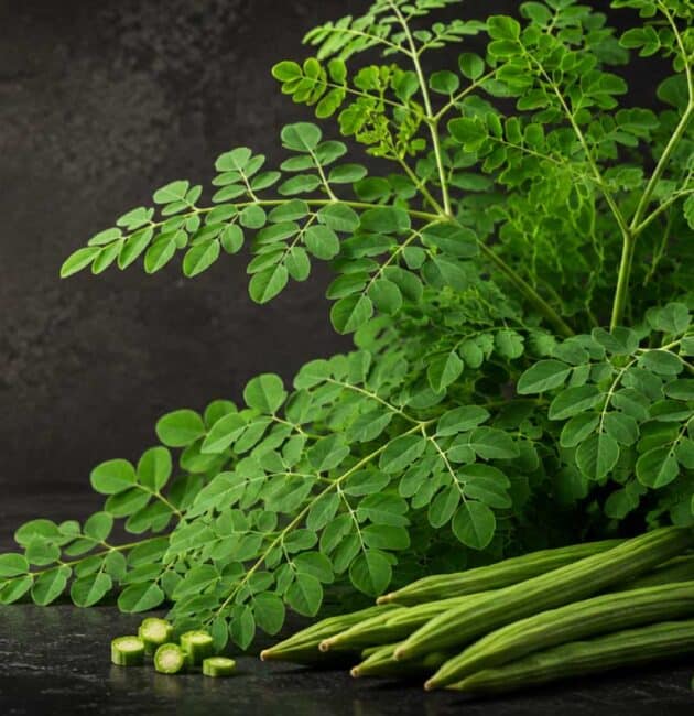 Premium Moringa (Moringa oleifera) leaves and fresh drumstick pods on a black botanical background with soft golden light.
