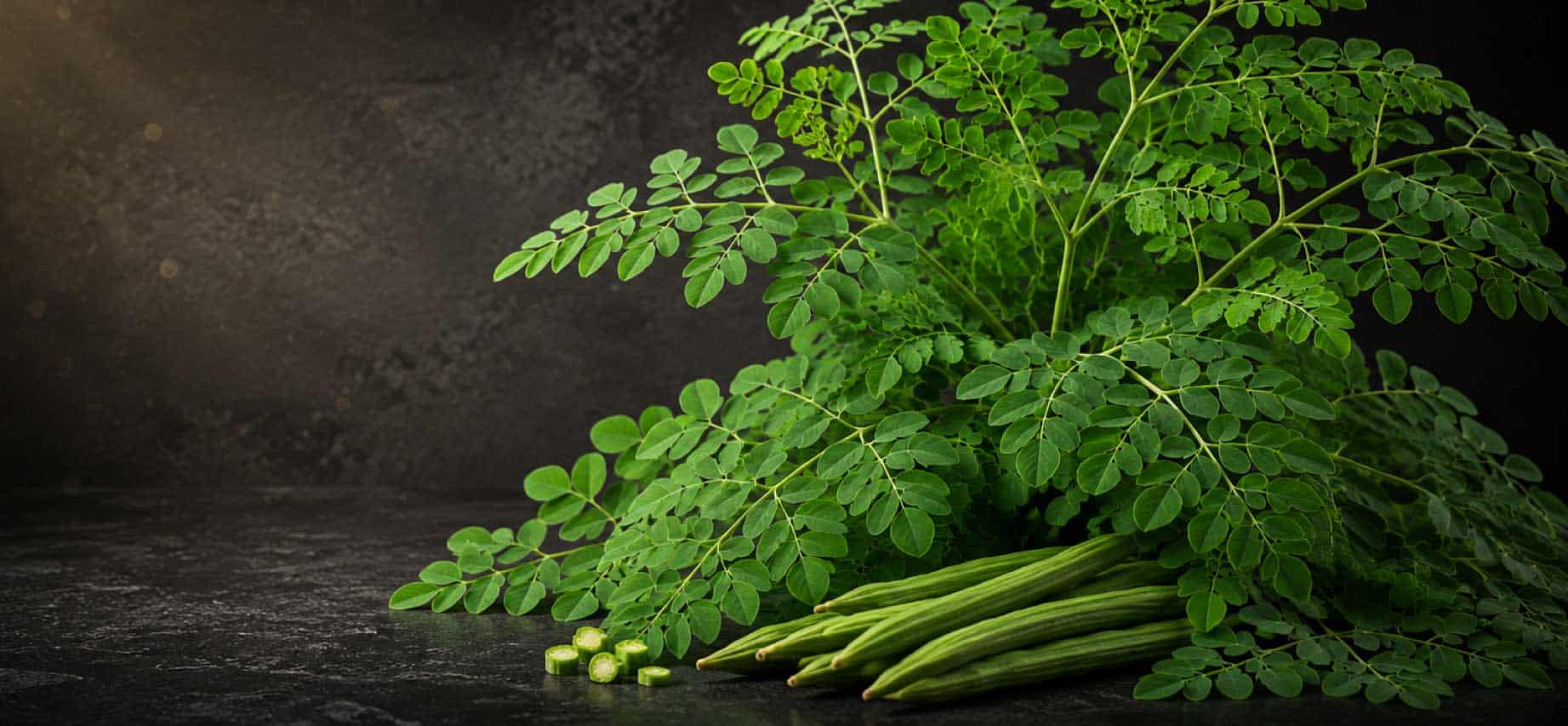 Premium Moringa (Moringa oleifera) leaves and fresh drumstick pods on a black botanical background with soft golden light.