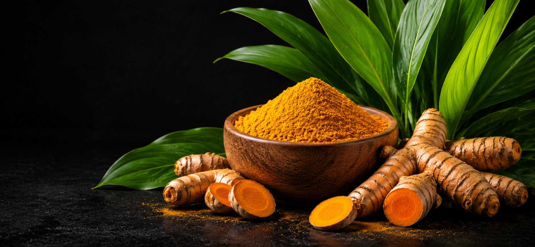 Premium Turmeric (Curcuma longa) roots with a wooden bowl of turmeric powder and fresh green leaves on a black background.